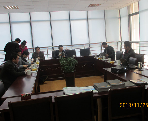 熱烈歡迎區領導蒞臨我司調研指導(圖3)